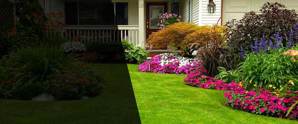 Pelion Landscapers