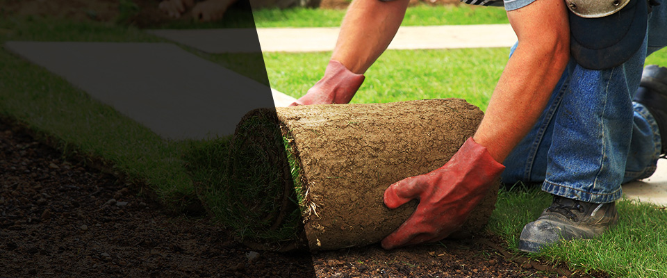 Pelion Landscapers